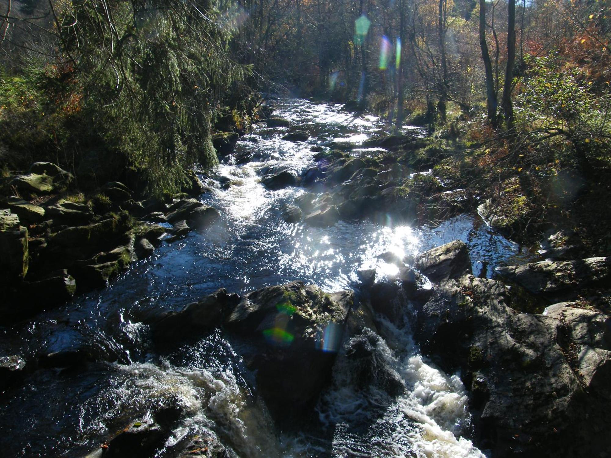 Apartment Am Fluss Im Haus An Der Rur Monschau Exteriör bild